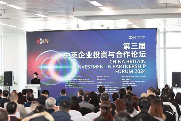 Chen Jing Attended the Third Sino-British Corporate Investment and Cooperation F...